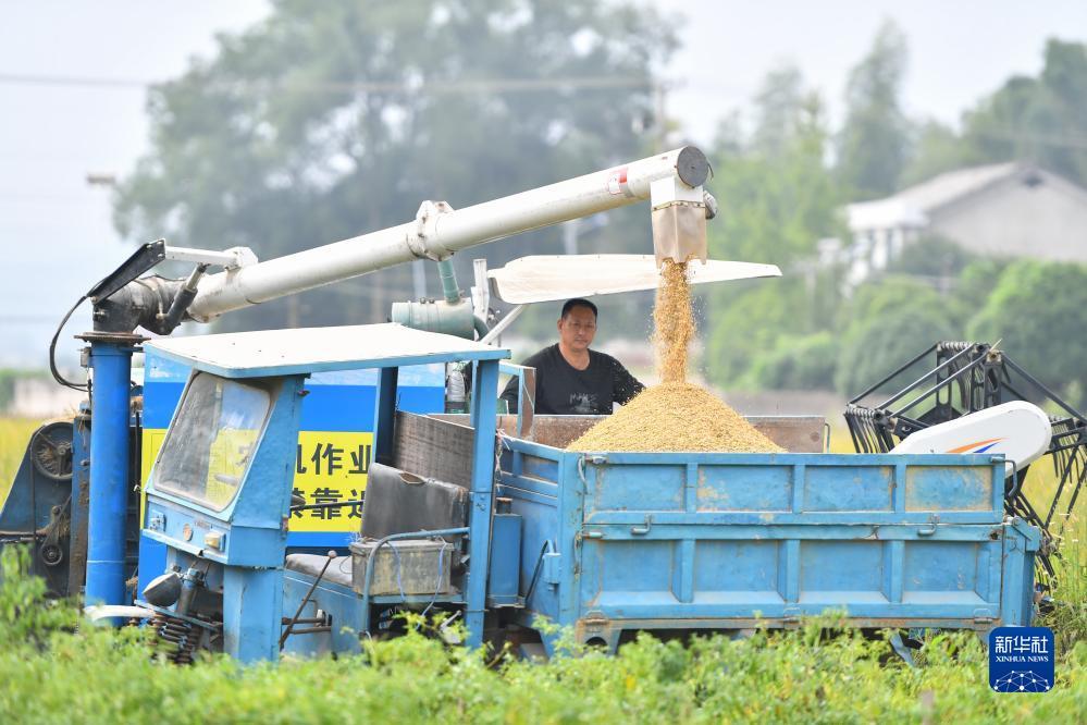 大宝电子游戏网址